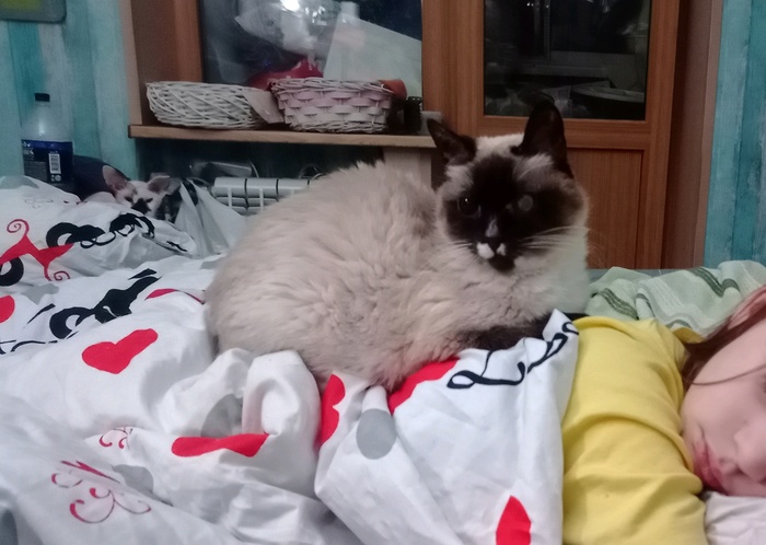 Ночная Тося