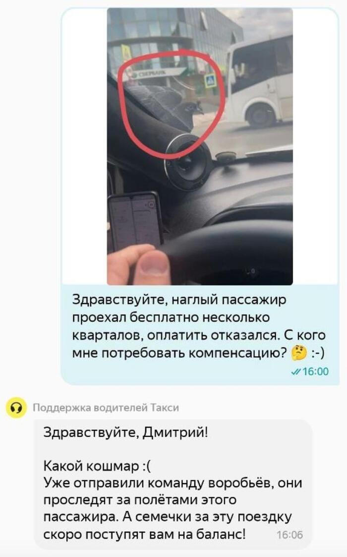     , , , 