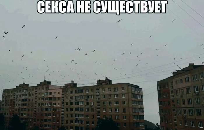 ����� �� ����������