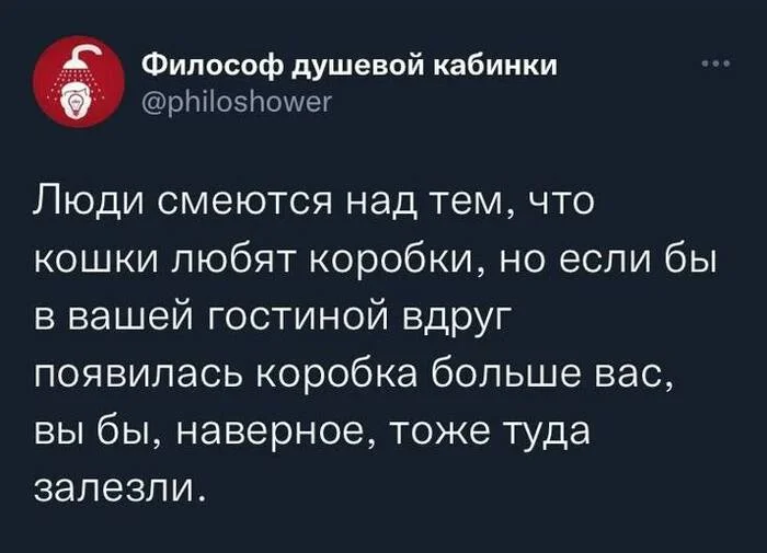 yvo2wvsm.webp