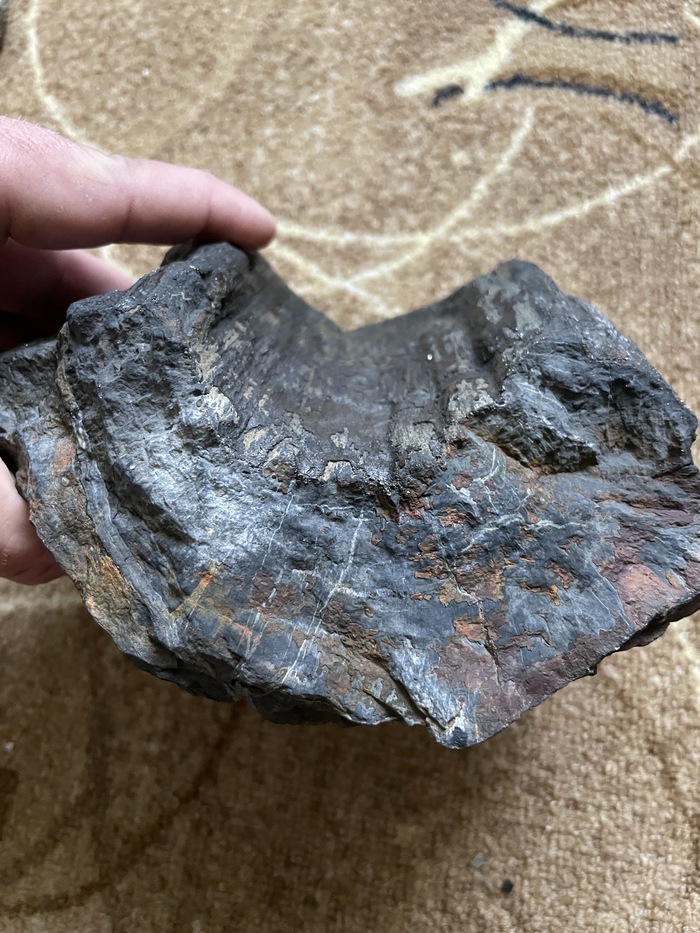 Вес, более 3 кг.