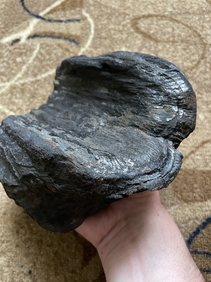 Черный цвет, так как находилось в пласте каменного угля.