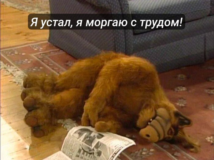  , , ,  , 