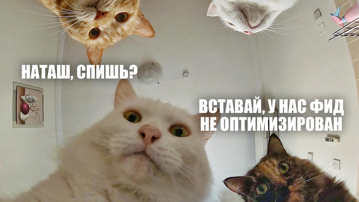  ,     7     , :  ,  ,   30%  , , -,  ,  , -, ,  , Ecommerce, ,  