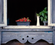 �������� ������