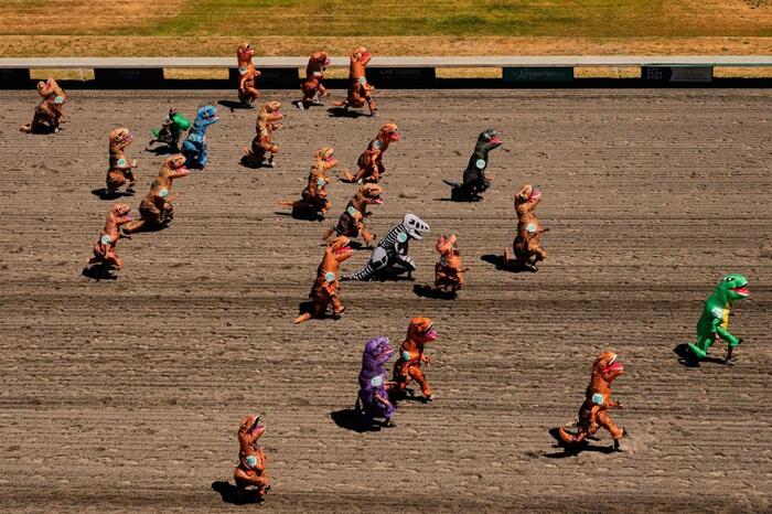 T-Rex World Championship Races 2025 , , , , , , , Telegram ()