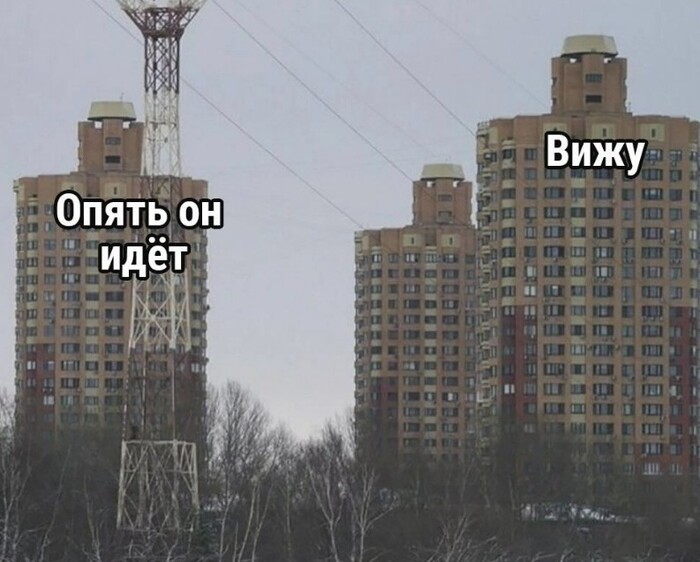 :     ,   ,   , , Telegram (), , , 