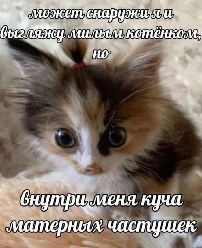   : , ,   