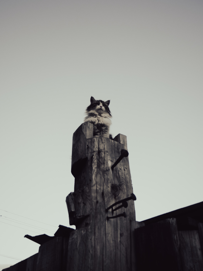  , , , , Olympus, Lightroom,  