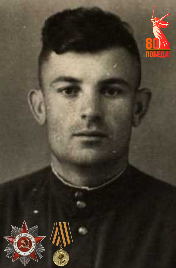  :    ,   ,   , , 