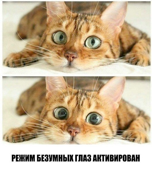    , , , 
