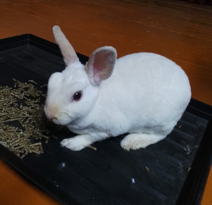    ,  ,       &#x1F90D;