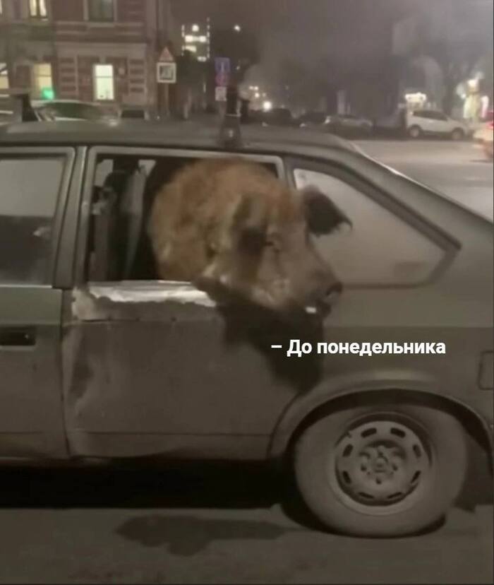   !) , ,  , 