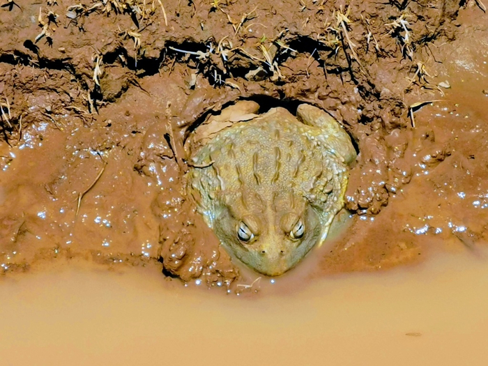 Ну ещё 5 минуточек...