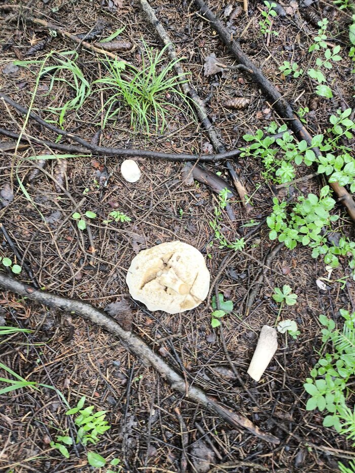 День третий - Смерть...