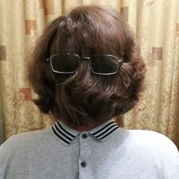 Fumitox86