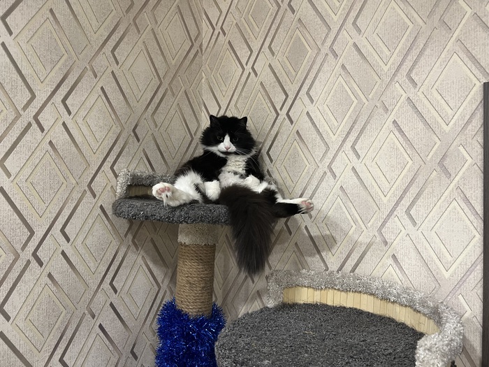 Растерянность