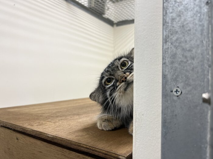 Одно неверное движение и тебе хана...