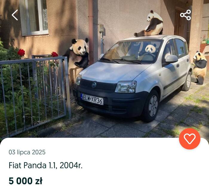   Fiat Panda             , Fiat,  , , , 