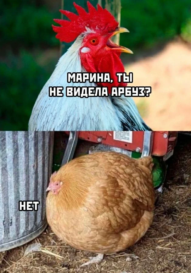 gr22xxxu.webp
