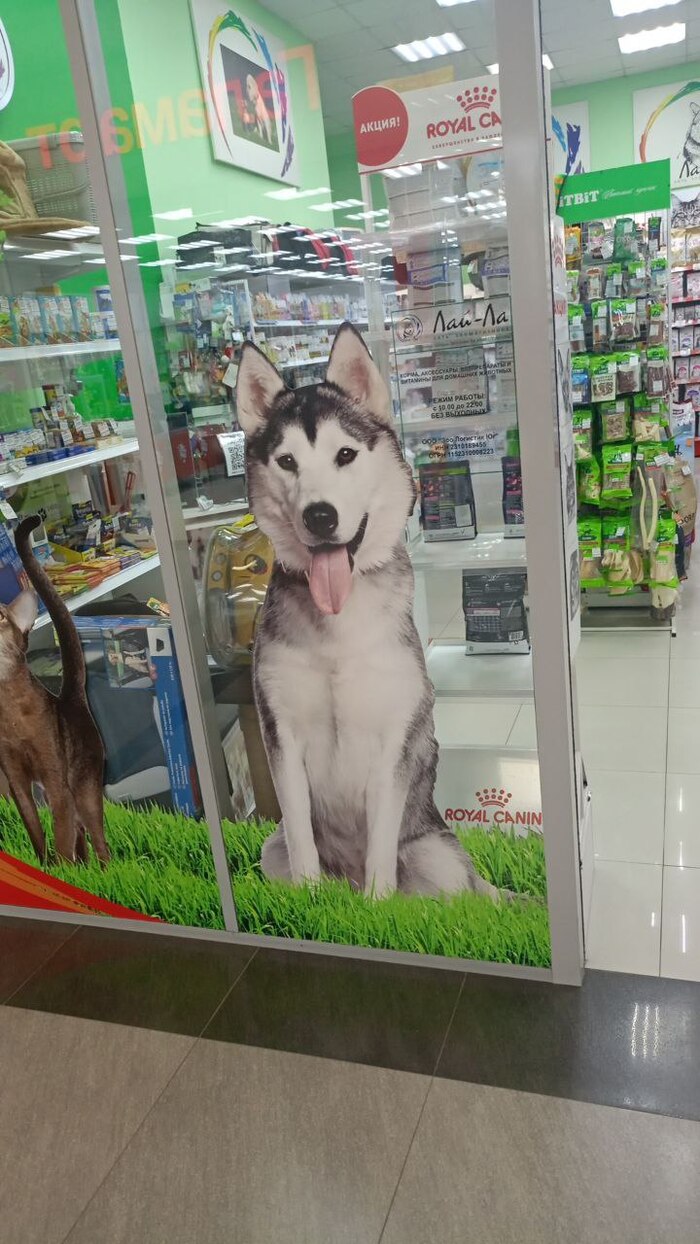    . !    .    , , , , , ,  , , ,  , 