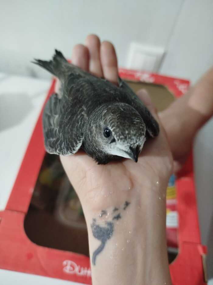   ,  !  , ,  ,  ,  , ,  