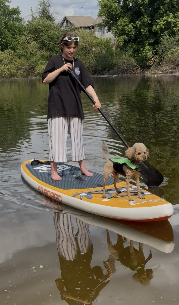     , , , , 