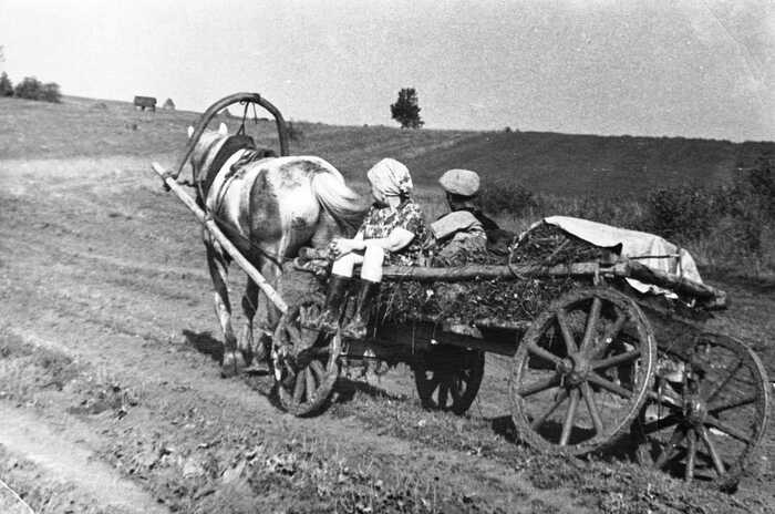   ,      1964.      , 25    ,    ,             ,  .