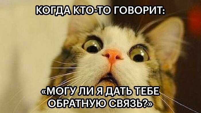 ����� ������ � ������� �������� �����