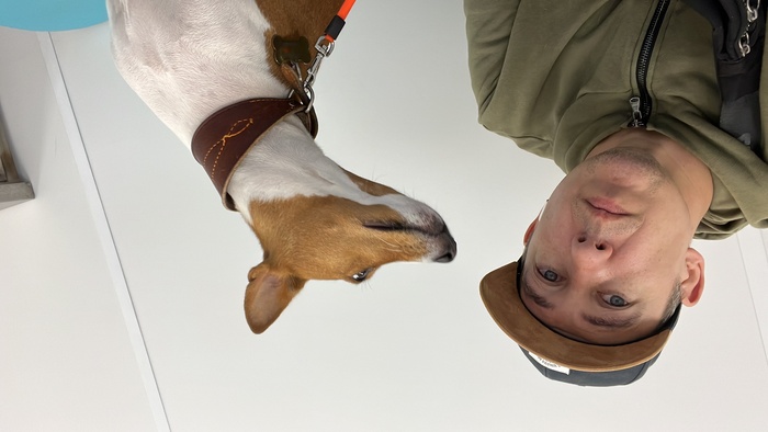      ,  , , 