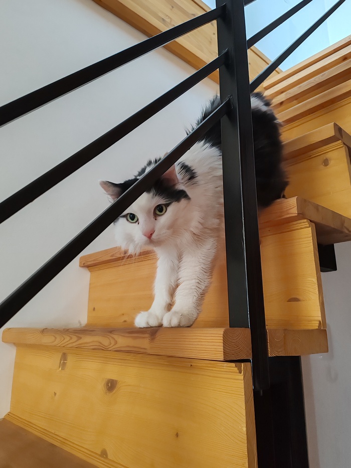      , , ,  , , , , , , ,   , 