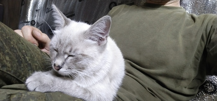 ��� �����