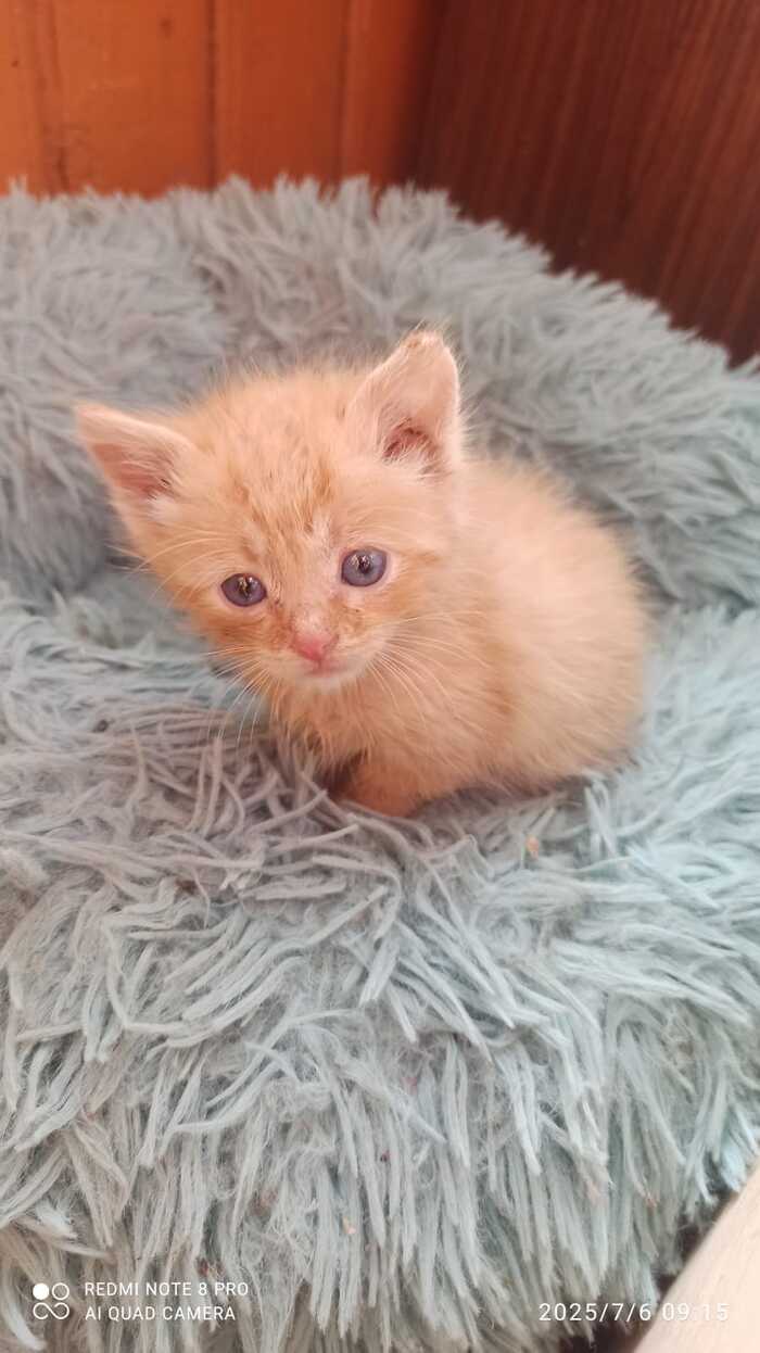   !  ,   ,  ,  ,  , ,  , ,  