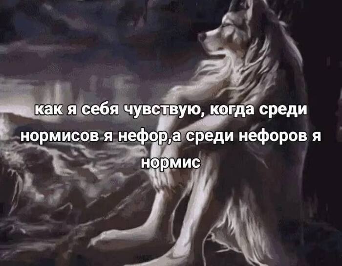   , ,   
