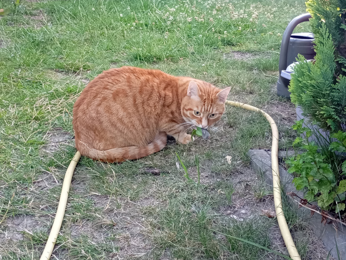    , , ,  ,  ,  ,  , ,  , , 