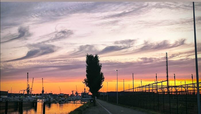 ����� ����������� ����