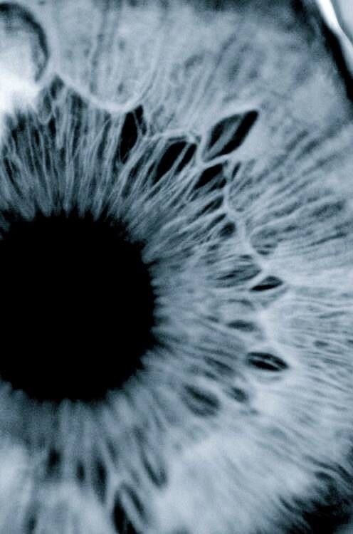 Ххх Зрение, Картина, Длиннопост