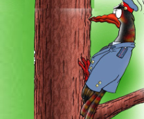 �� �����, �����!