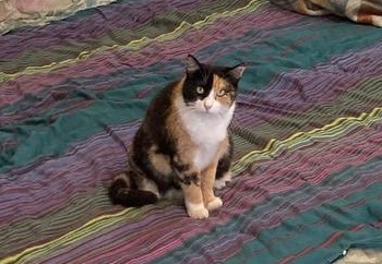 ����� ������ ���� ��� � �����-����������!