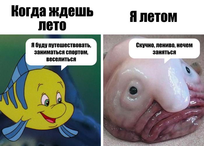 -, ,   !          , , , , , , , , ,  ,  