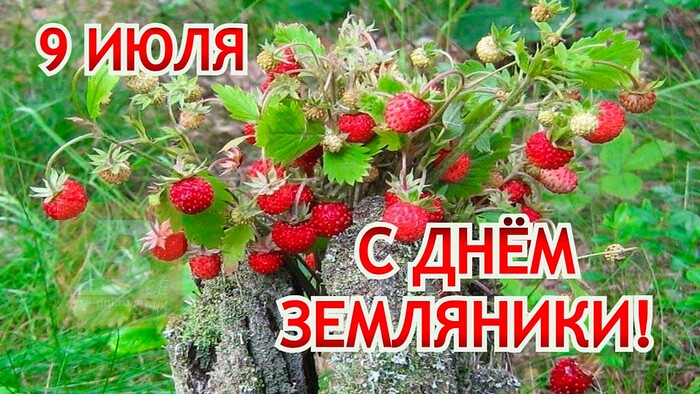 9  2025  -   ( ) , , , , , ,   