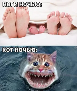Одной ночью