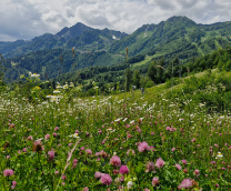 ����. �� ����� ��� ����� ��������