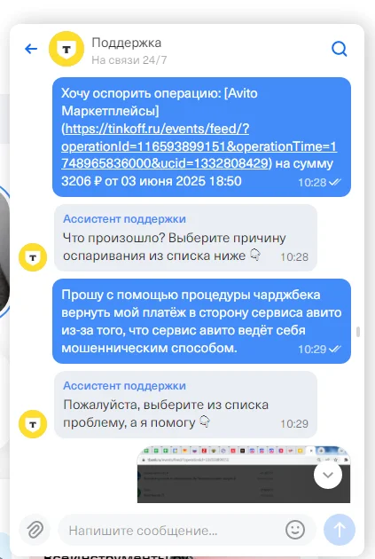 Если Авито заблокировало доступ к платному объявлению Авито, Биометрия, Мошенничество, Обман клиентов, Длиннопост, Негатив, Возврат денег, Скриншот, Переписка, Текст
