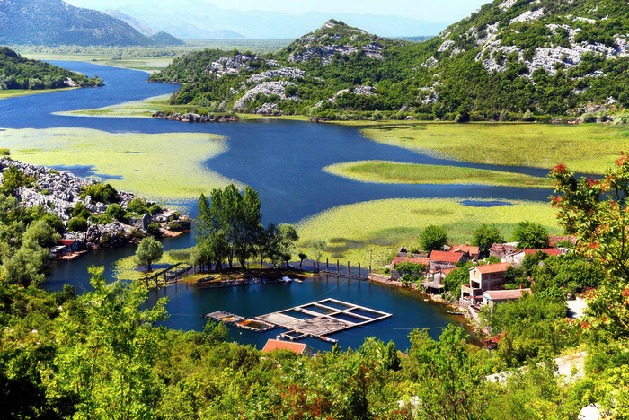 � Montenegro Pulse | ���������� �����, ����������