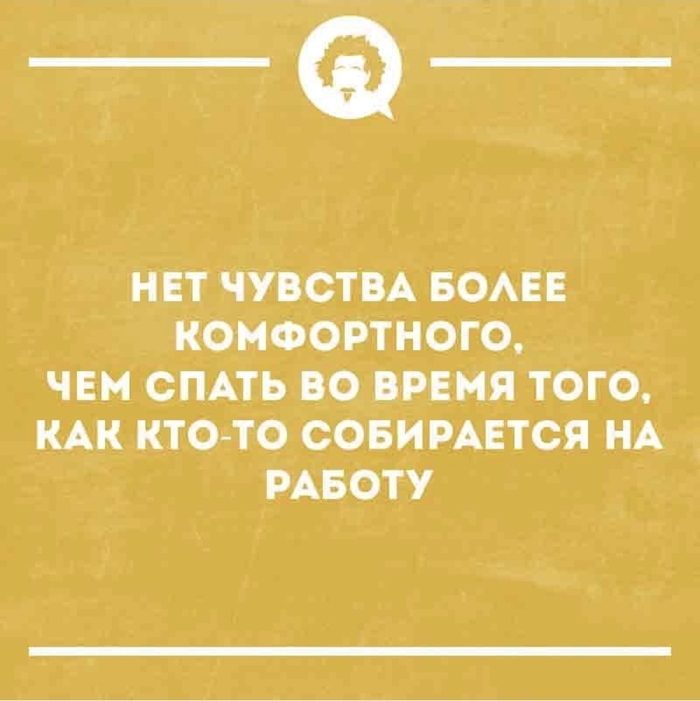 Каждый кот утром