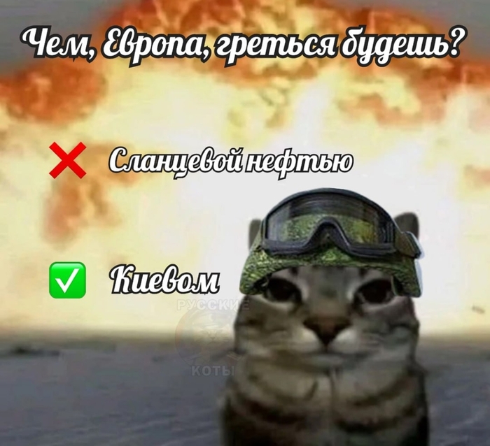 ����� �� ����