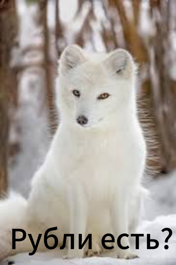 К чему же готовиться?