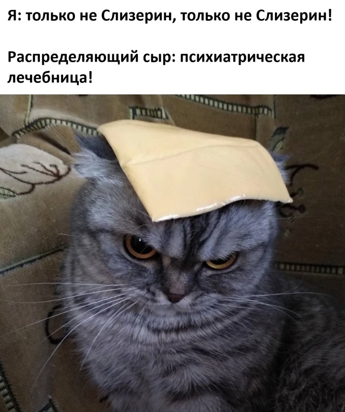 ,  ! ,   , , , ,  , Telegram ()