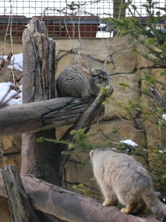 Явился, муженёк. Я тебя ждала